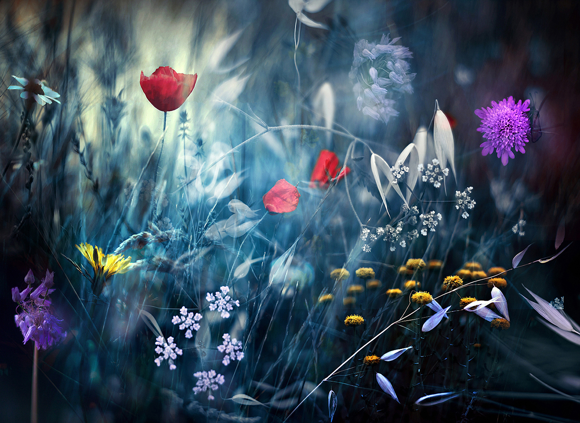Nature Photography by Luis Gonzalez